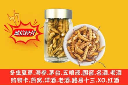 乡城县回收散虫草
